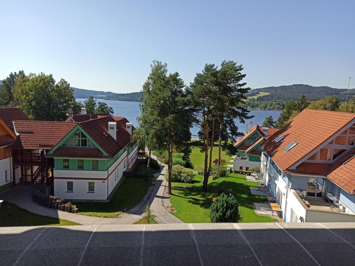 Apartment Pohoda U Lipna *