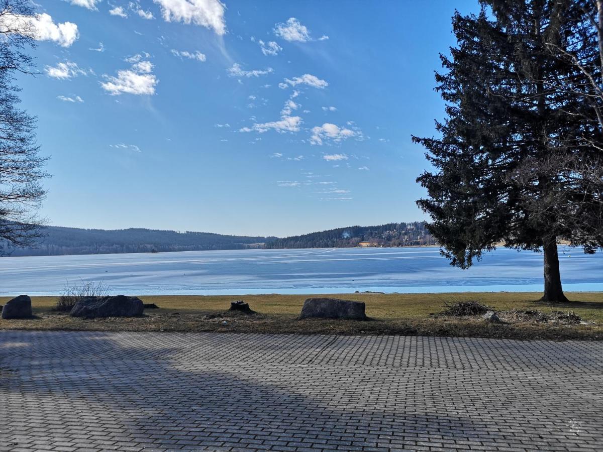 Apartment Pohoda U Lipna *